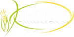 JINKRUPA CORPORATION